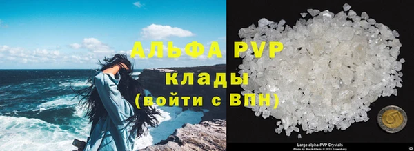 соль ск Пестово