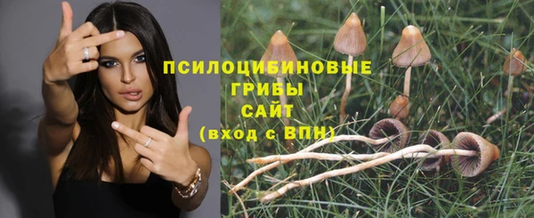 трава Переславль-Залесский