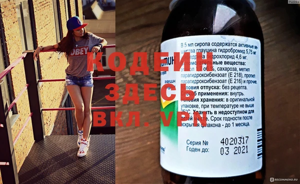прущие грибы Осинники