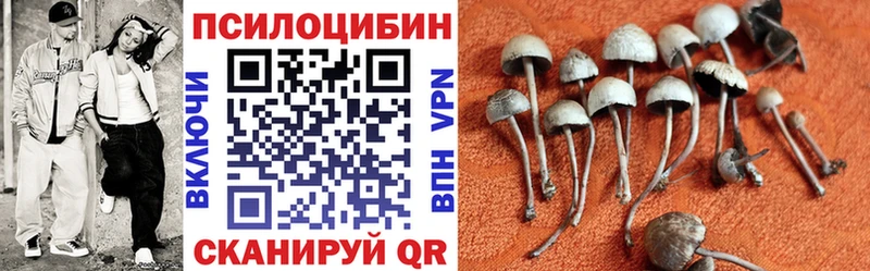 Псилоцибиновые грибы прущие грибы  хочу   Алзамай 